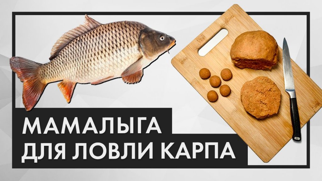 Как приготовить мамалыгу для рыбалки из кукурузной муки и... Подходит для ловли карпа и карася