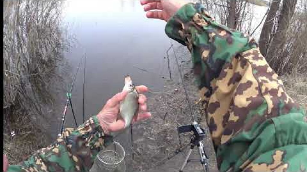 Открытие сезона по жидкой воде. Колывань