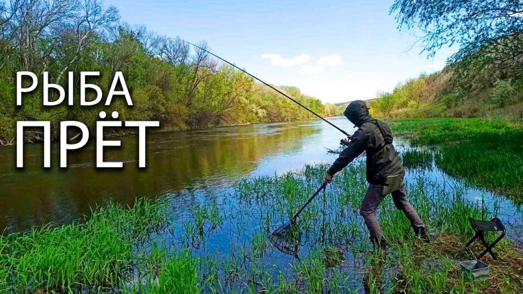 Рыбалка на реке в диких местах! Ловим разную рыбу на фидер или донку!