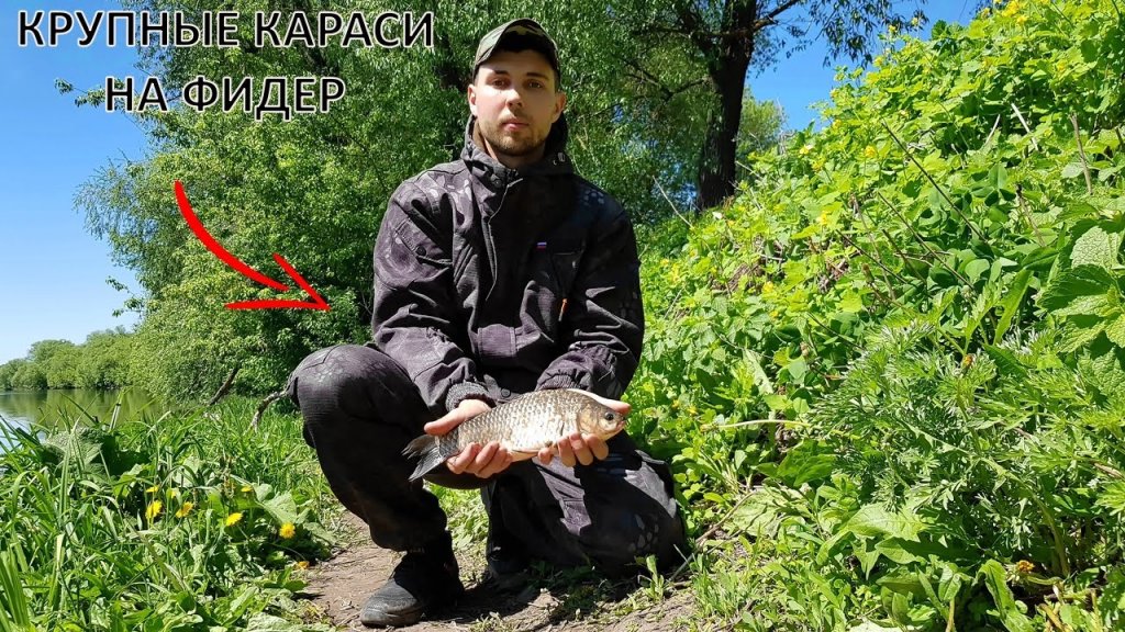 Попали на клёв крупного карася на ФИДЕР | Речной карась в мае Попали на клёв крупного карася на ФИДЕР | Речной карась в мае