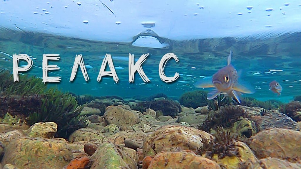 Подводные съёмки. Рыбалка. Релакс. Подводные съёмки. Рыбалка. Релакс.
