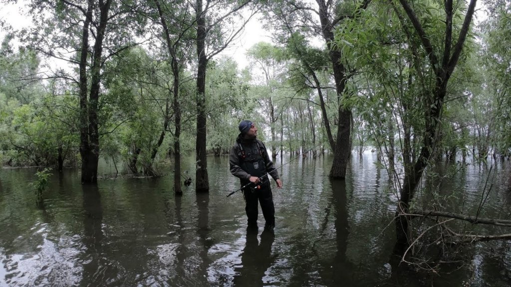 Твичим кренки или как поймать язя на спиннинг. Рыбалка 2021 Твичим кренки или как поймать язя на спиннинг. Рыбалка 2021