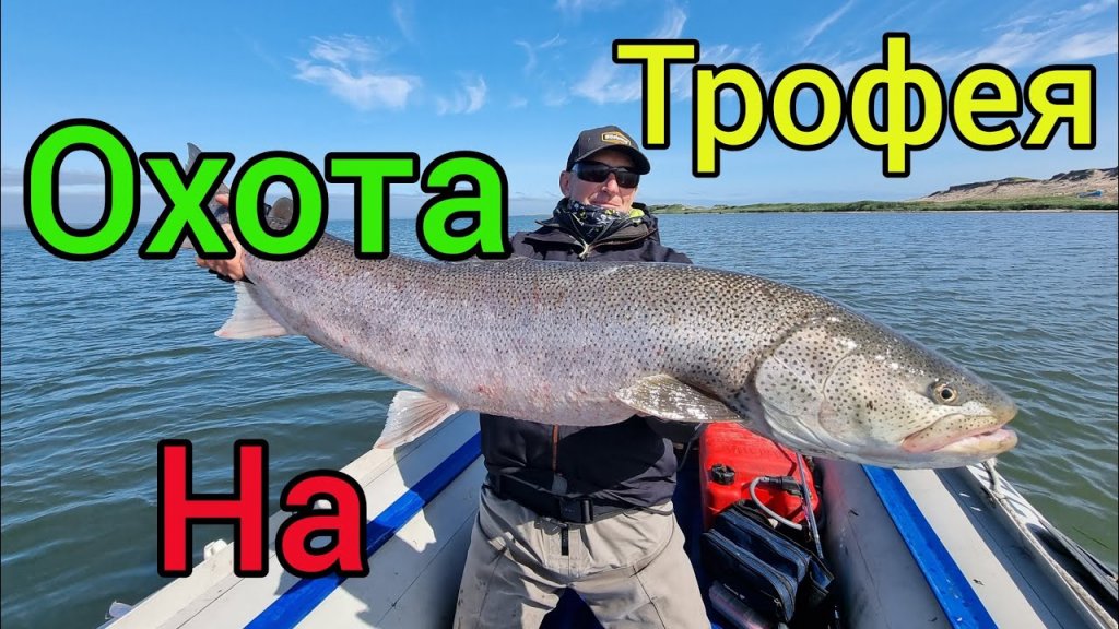 ОХОТА НА ТРОФЕЙ!!! / ПОПАЛИ НА РАЗДАЧУ | Сахалинская рыбалка & Sakhalin fishing