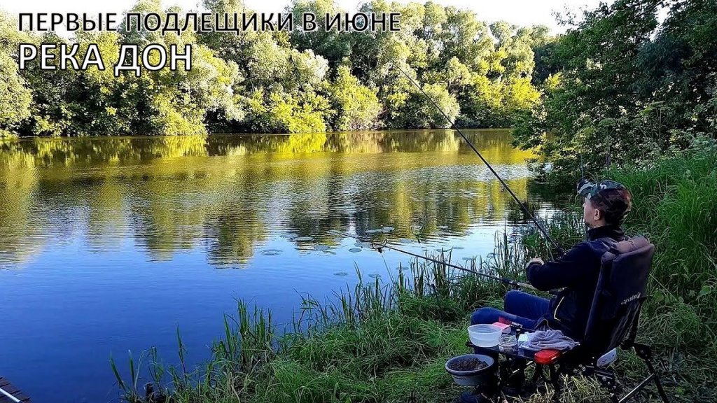 В поисках леща! Первые попытки поймать леща на Дону В поисках леща! Первые попытки поймать леща на Дону