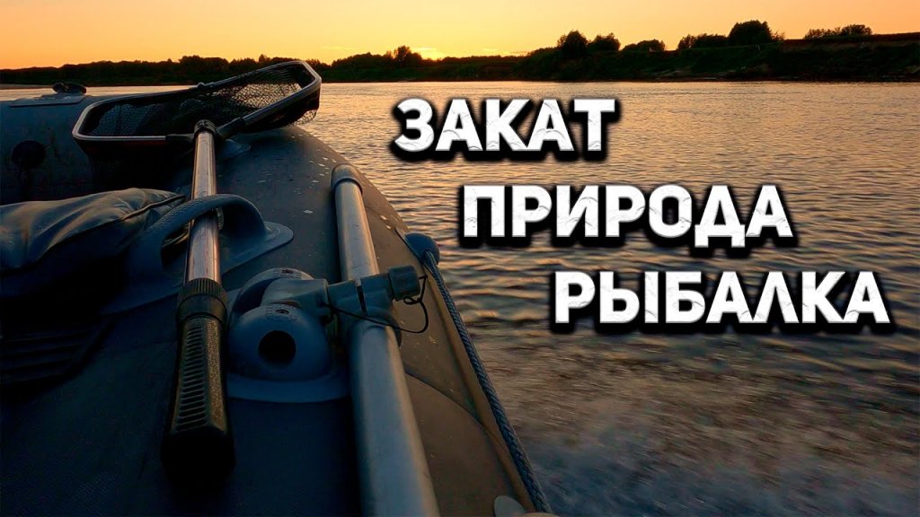 ПОЙМАЛ ЧАЙКУ 😀 Ловля щуки и окуня на джиг, поппер, воблер. Рыбалка 2021 на реке Тавда, спиннинг ПОЙМАЛ ЧАЙКУ 😀 Ловля щуки и окуня на джиг, поппер, воблер. Рыбалка 2021 на реке Тавда, спиннинг