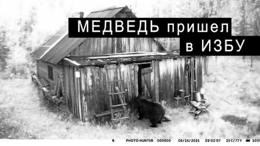 Медведь пришел к охотникам в избу. Медведь пришел к охотникам в избу.
