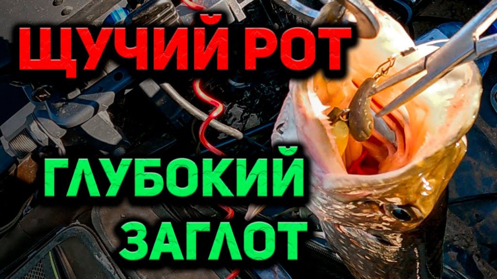 ПРИМАНКА на ЩУКУ СПАСЛА рыбалку. Клёв рыбы на старице реки Тавда, ловля щуки и окуня на спиннинг ПРИМАНКА на ЩУКУ СПАСЛА рыбалку. Клёв рыбы на старице реки Тавда, ловля щуки и окуня на спиннинг