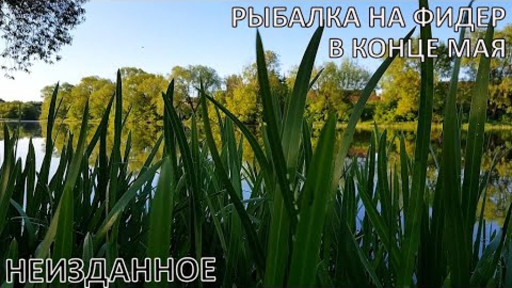 Ранее неизданная рыбалка на фидер за май Ранее неизданная рыбалка на фидер за май