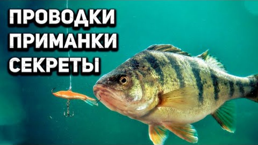 Основные проводки на окуня + советы по ловле на ультралайт спиннинг и микроджиг. Основные проводки на окуня + советы по ловле на ультралайт спиннинг и микроджиг.