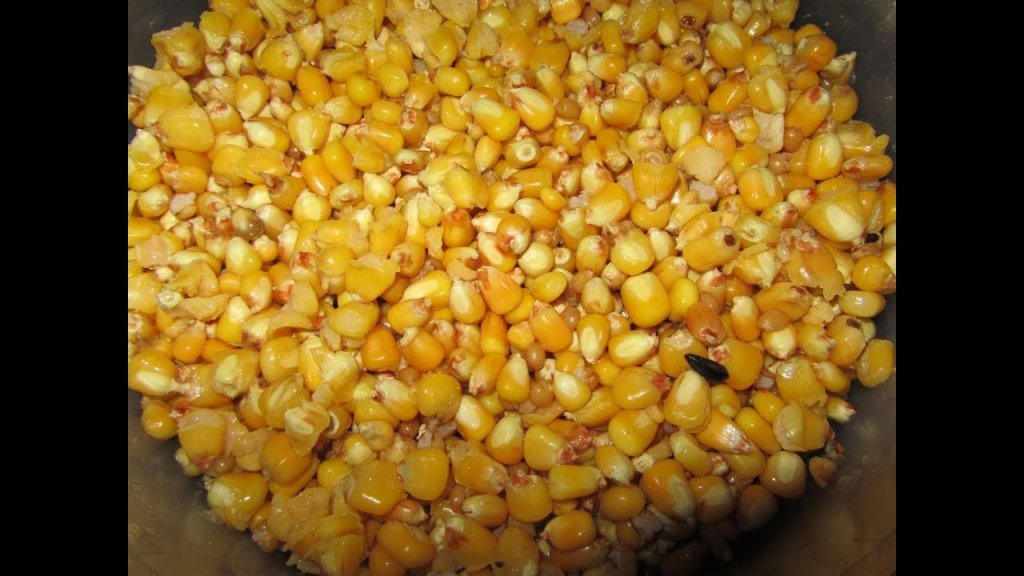 Прикормка из ферментированной кукурузы.