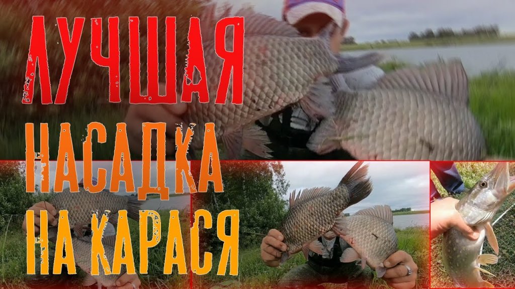 Эта насадка шокировала. Килограммовые караси берут в любую погоду. Убийца карася.прикормка на карася Эта насадка шокировала. Килограммовые караси берут в любую погоду. Убийца карася.прикормка на карася
