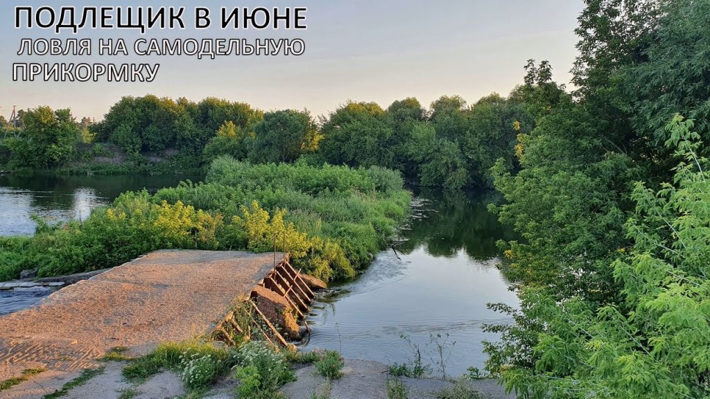 Ловля подлещика с заброшенной платины! Самодельная прикормка удивляет! Ловля подлещика с заброшенной платины! Самодельная прикормка удивляет!