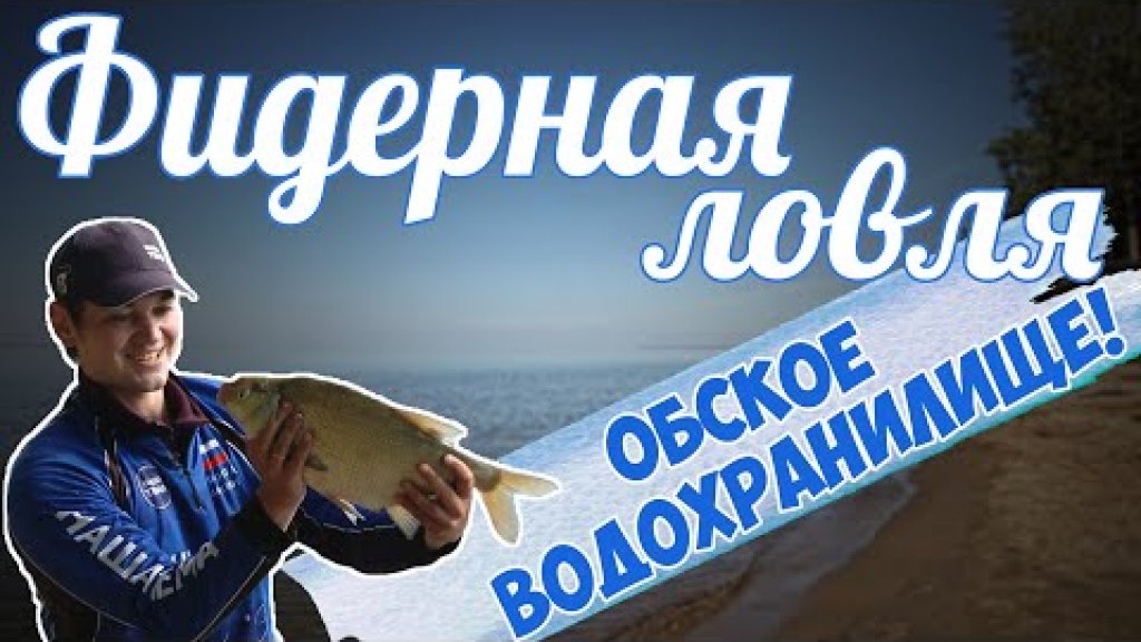 Большие лещи кушают даже улиток! Фидер на овх. Душевная рыбалка в красивом месте! Кивертип в дугу! Большие лещи кушают даже улиток! Фидер на овх. Душевная рыбалка в красивом месте! Кивертип в дугу!