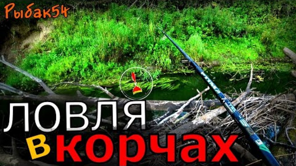 Рыбалка на поплавок в забитой корягами речке |  рыбалка 2021 | рыбалка на поплавочную удочку!