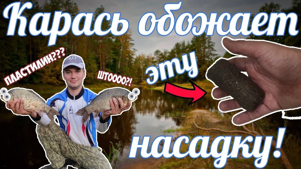 Что можно сделать из ролтона, семечек, кориандра и манки? Рецепт клёвой насадки на карася. Что можно сделать из ролтона, семечек, кориандра и манки? Рецепт клёвой насадки на карася.