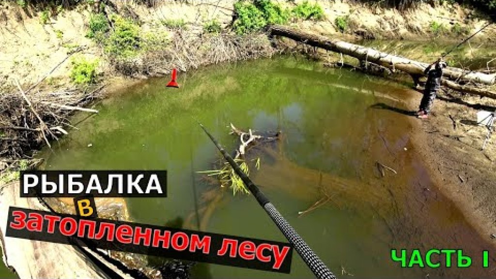 РУЧЕЙ ЗАБИТЫЙ РЫБОЙ| Рыбалка на поплавочную удочку с ночёвкой в тайге |Рыбалка 2021!