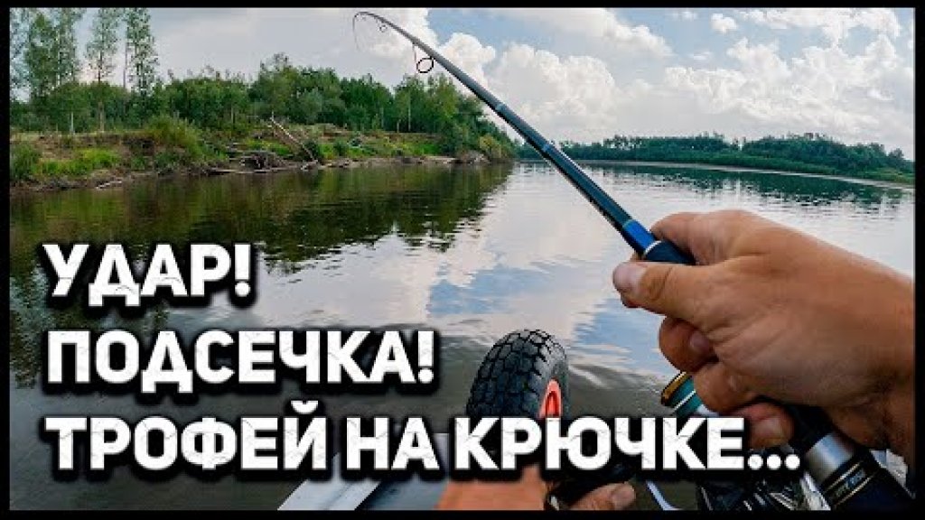 Трофейная ЩУКА в корягах, яндекс погода и личная радуга