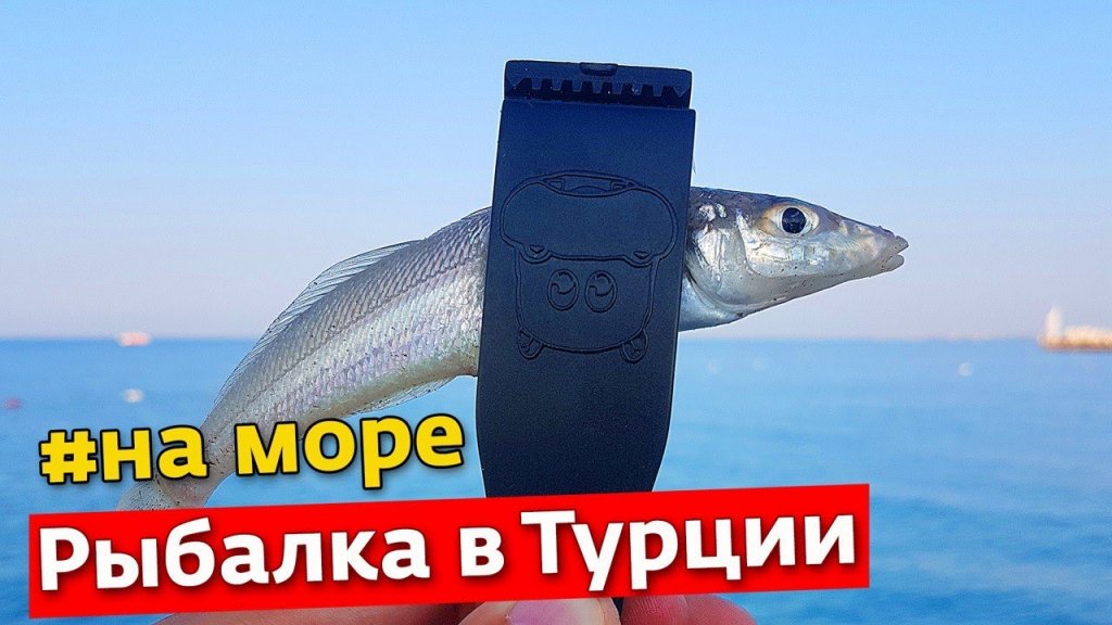 Рыбалка в Турции | Июль 2021 | Анталия, Белек Рыбалка в Турции | Июль 2021 | Анталия, Белек