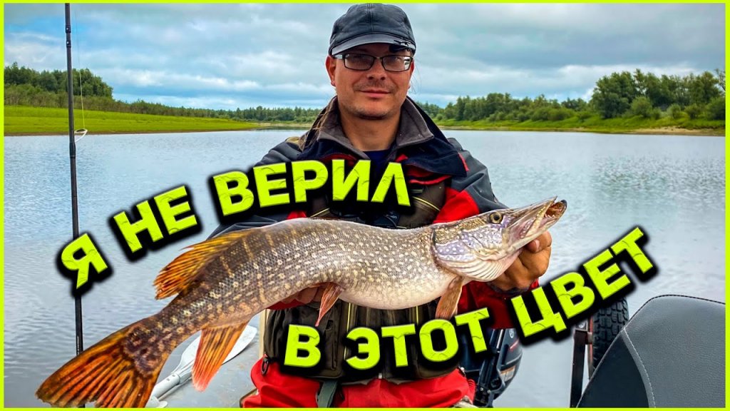 Поставил эту приманку и понеслось! Жадные атаки щуки и окуня. Поставил эту приманку и понеслось! Жадные атаки щуки и окуня.
