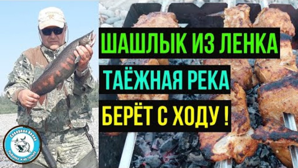 РЫБАЛКА НА ЛЕНКА. Ленок НА УГЛЯХ. Ловля ленка на СПИННИНГ. ЛЕНОК. Таёжная рыбалка. Таежная река.Ч 3 РЫБАЛКА НА ЛЕНКА. Ленок НА УГЛЯХ. Ловля ленка на СПИННИНГ. ЛЕНОК. Таёжная рыбалка. Таежная река.Ч 3