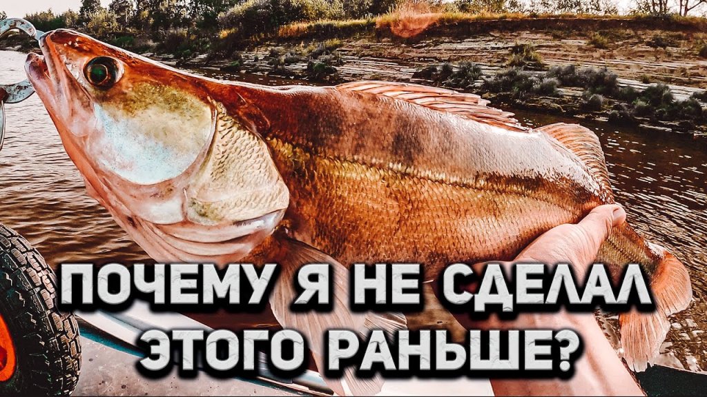 МЕЧТЫ СБЫВАЮТСЯ. Обзор Shimano Twin Power XD 4000 PG в РЕАЛЬНЫХ условиях. Ловля щуки и судака. МЕЧТЫ СБЫВАЮТСЯ. Обзор Shimano Twin Power XD 4000 PG в РЕАЛЬНЫХ условиях. Ловля щуки и судака.