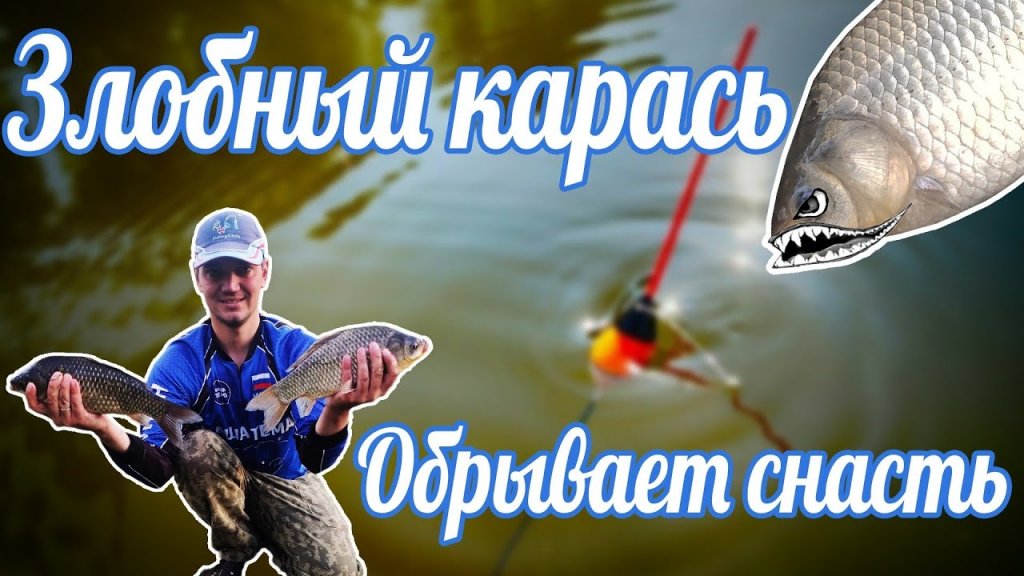 КАРАСИ ЛАПТИ РВУТ СНАСТИ / Ловля карася на поплавок / Рыбалка 2021. КАРАСИ ЛАПТИ РВУТ СНАСТИ / Ловля карася на поплавок / Рыбалка 2021.