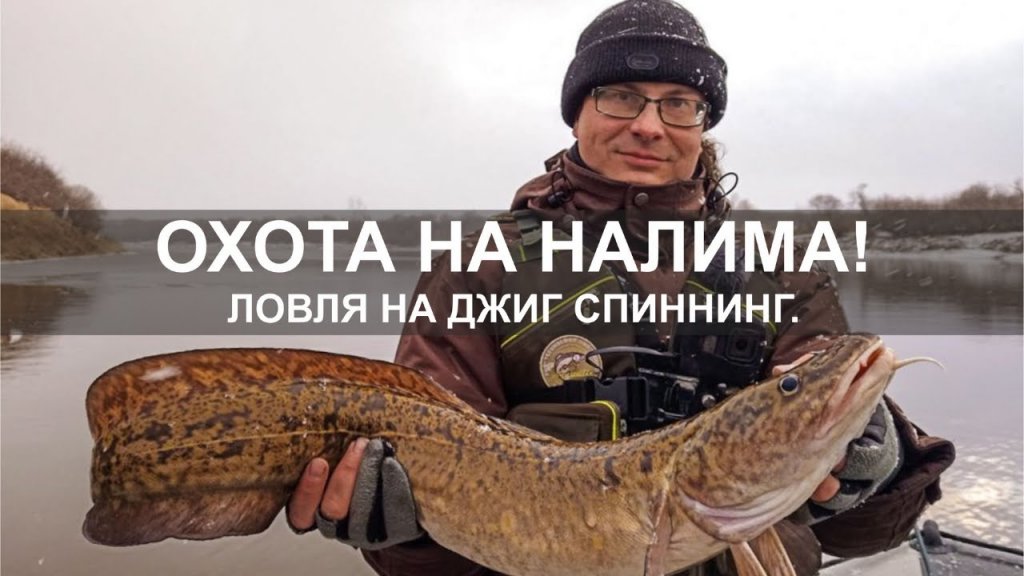Ловля налима на спиннинг с Русланом Файзуллиным Ловля налима на спиннинг с Русланом Файзуллиным