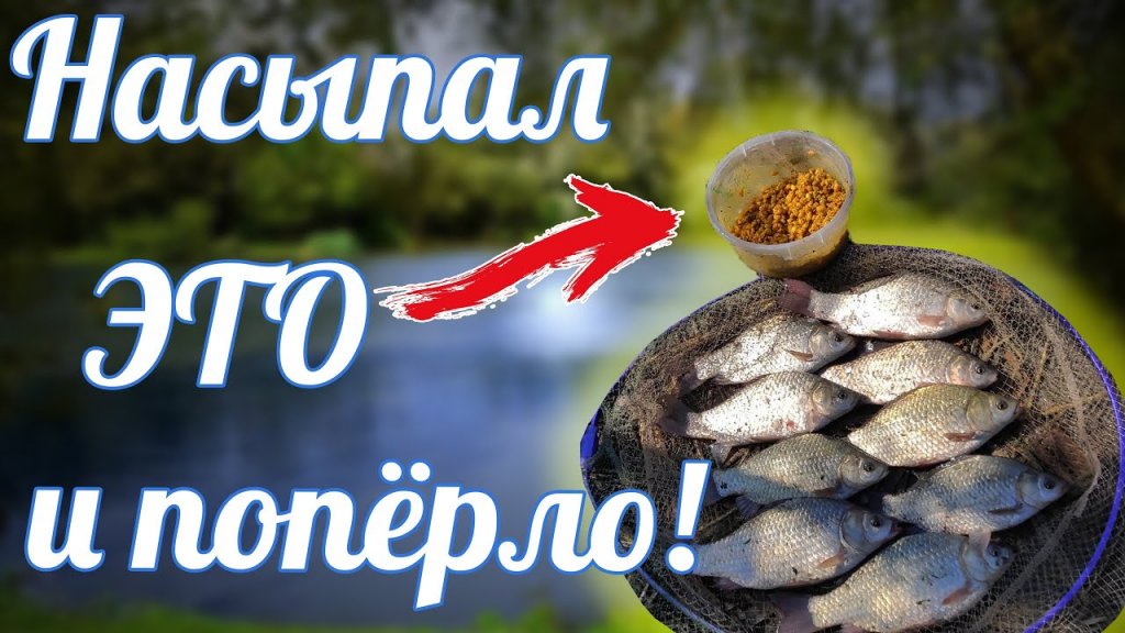 Стоило только добавить этот ароматизатор! И карась попёр! Ловля карася в сентябре удалась. Стоило только добавить этот ароматизатор! И карась попёр! Ловля карася в сентябре удалась.