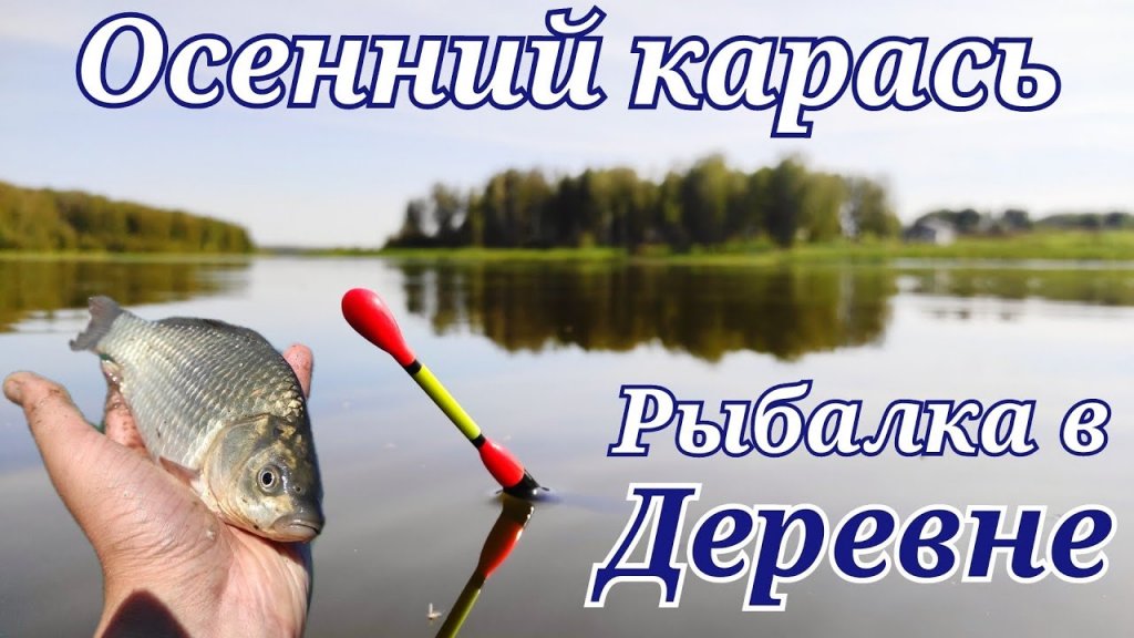 Душевно подубасил карасей! Рыбалка в сентябре. Душевно подубасил карасей! Рыбалка в сентябре.