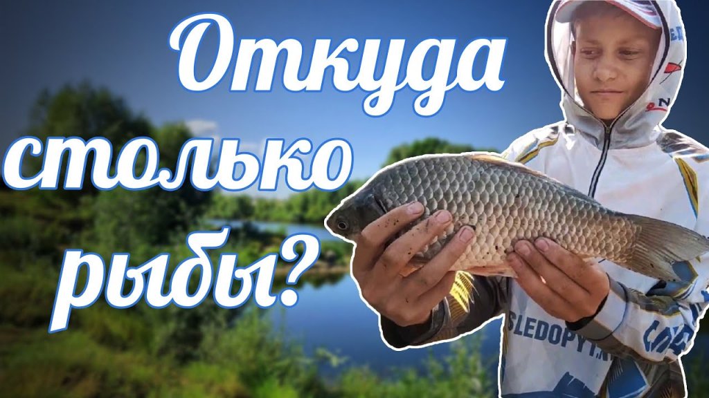 Приехали на речку, а воды нет! Приехали на речку, а воды нет!