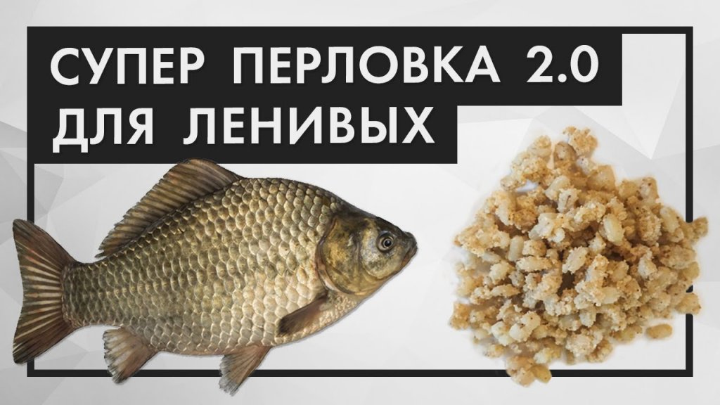 Перловка на крупного карася. Как просто приготовить перловку Перловка на крупного карася. Как просто приготовить перловку