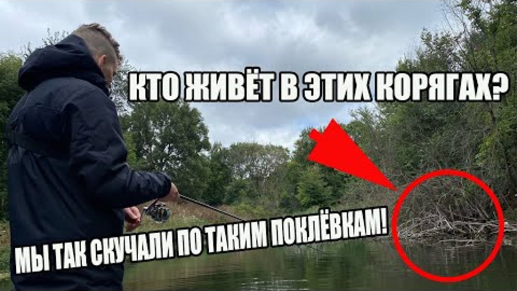 Ловим щуку и окуня в затопленном лесу Ловим щуку и окуня в затопленном лесу