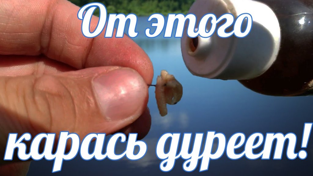 Налили эти КАПЛИ и КАРАСЬ ПОПЁР ДУРОМ! Рыбалка на поплавок. Налили эти КАПЛИ и КАРАСЬ ПОПЁР ДУРОМ! Рыбалка на поплавок.