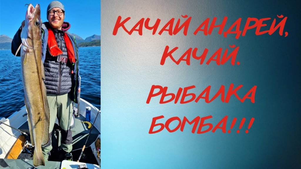 Морской хищник. Бомба рыбалка с андреем ланге ( lange_fishing ) Морской хищник. Бомба рыбалка с андреем ланге ( lange_fishing )