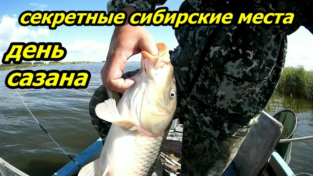 Сибирский Регион Рыбалка Видео Новое 2022 Год