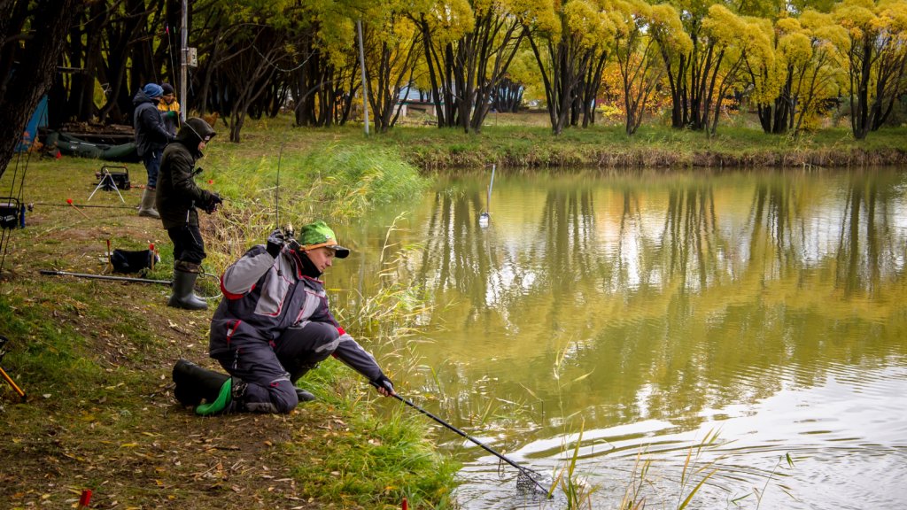 Trout Omsk 2021 / 2 . Взгляд участника Новосибирска