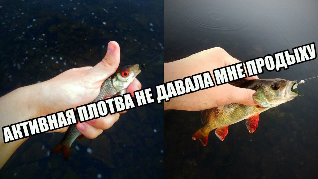 Экстремальная рыбалка на краю водопада! | Мормышинг на городской плотине Экстремальная рыбалка на краю водопада! | Мормышинг на городской плотине