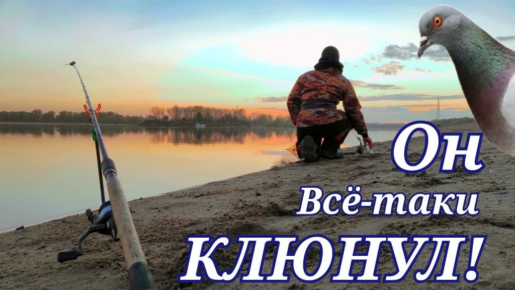 Голуби сожрали всё! Лещ на донки в октябре. Рыбалка в черте города! Голуби сожрали всё! Лещ на донки в октябре. Рыбалка в черте города!