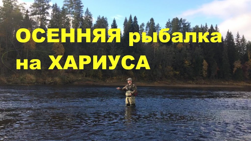 ОСЕННЯЯ рыбалка на ХАРИУСА в Архангельской области