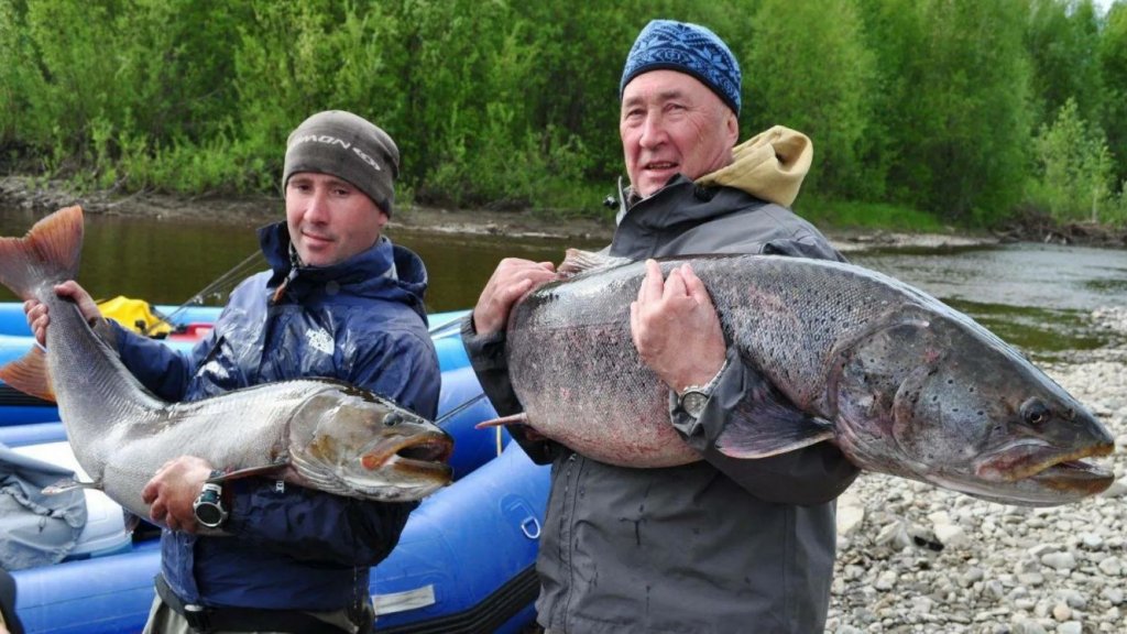 Рыбалка тайменя в Якутии. Настоящая автономка