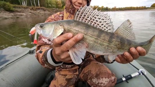 Рыбалка в Барнауле и окрестностях: лучшие места и способы