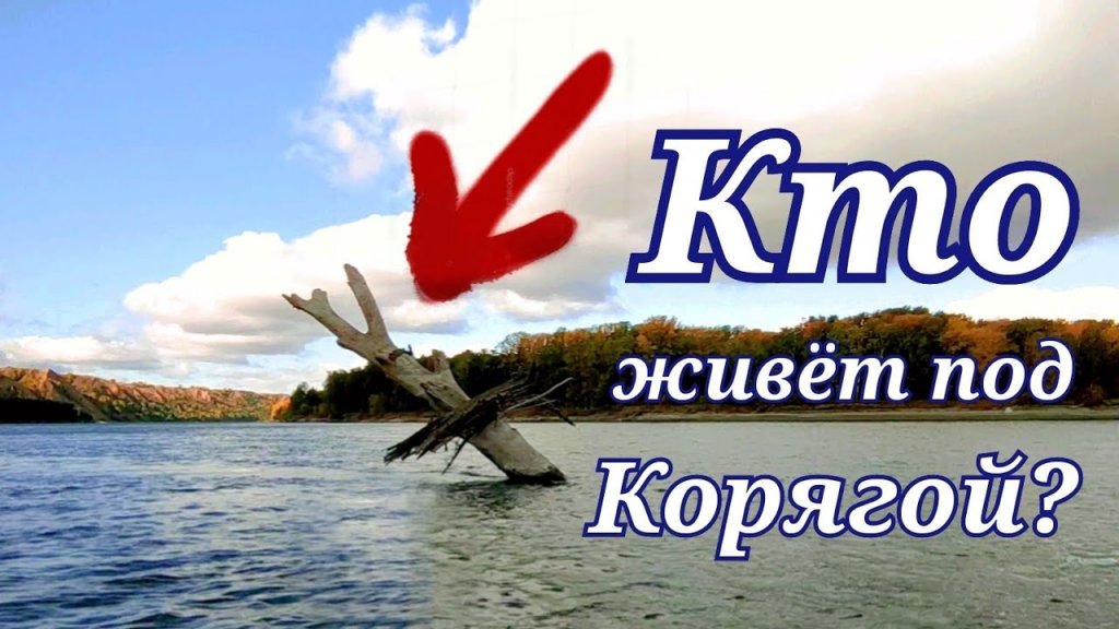 А мы узнали! Лучшая рыбалка сезона! А мы узнали! Лучшая рыбалка сезона!