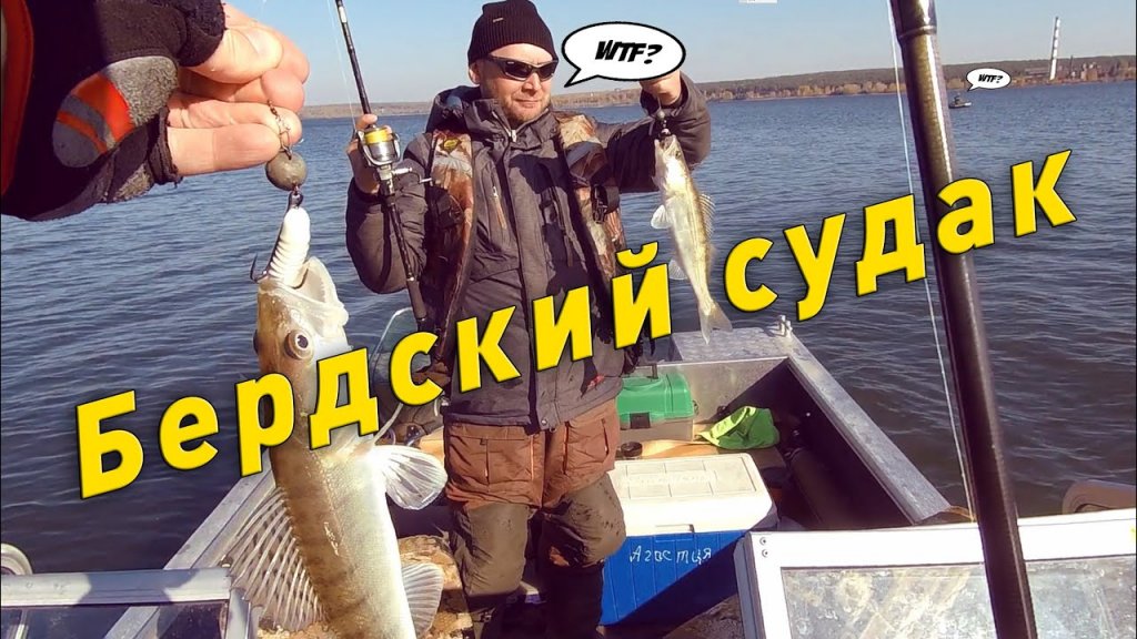 Судак в Бердском заливе Судак в Бердском заливе