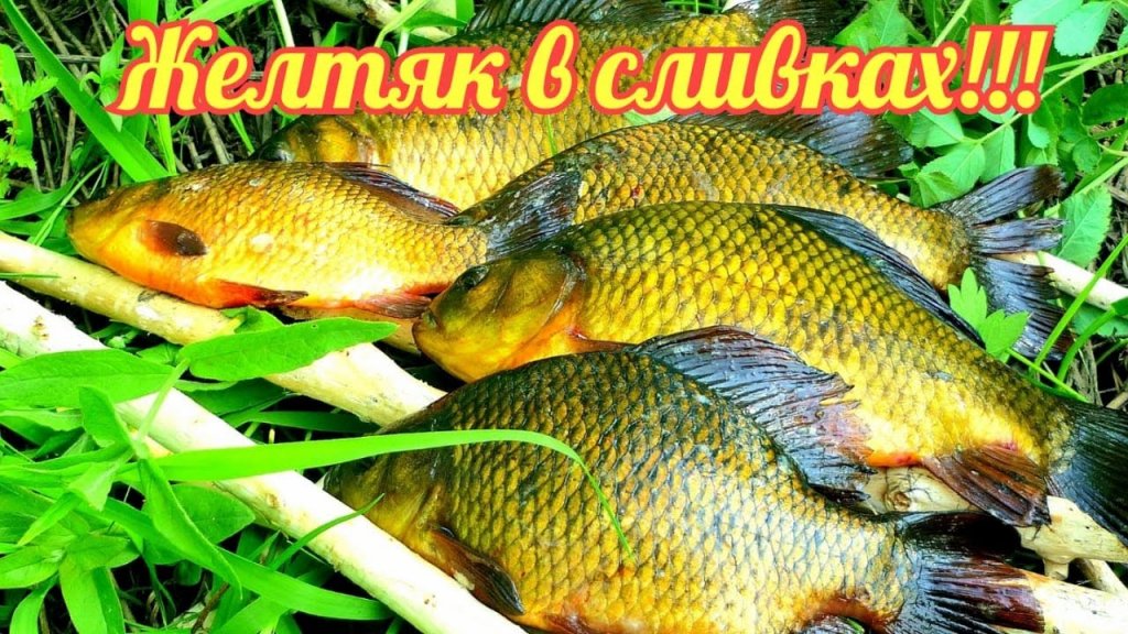 Жёлтый карась в сливках!!! Пальчики оближешь!!! Жёлтый карась в сливках!!! Пальчики оближешь!!!