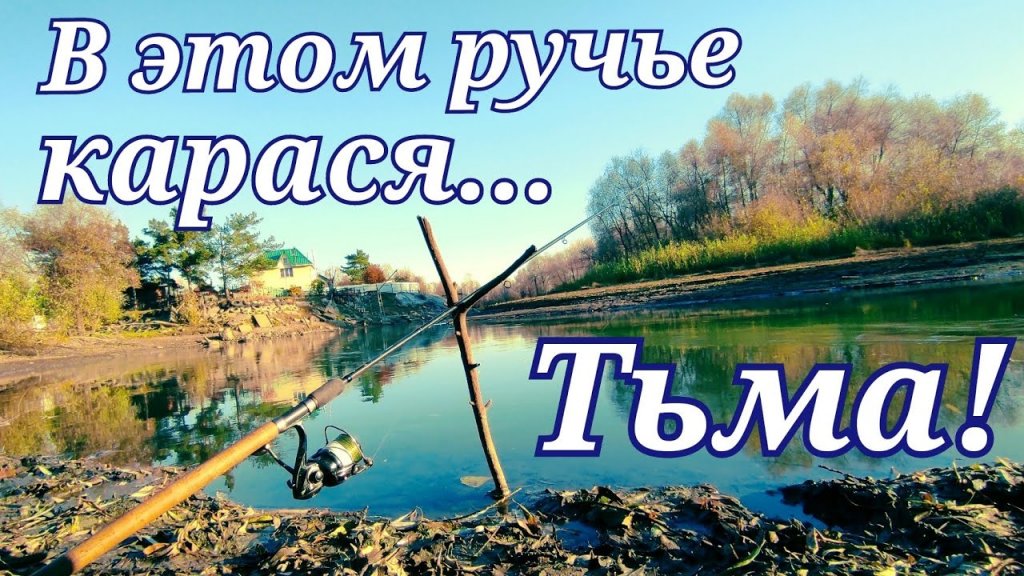 Ловля Карася На Поплавок осенью. Ручей удивил! Ловля Карася На Поплавок осенью. Ручей удивил!