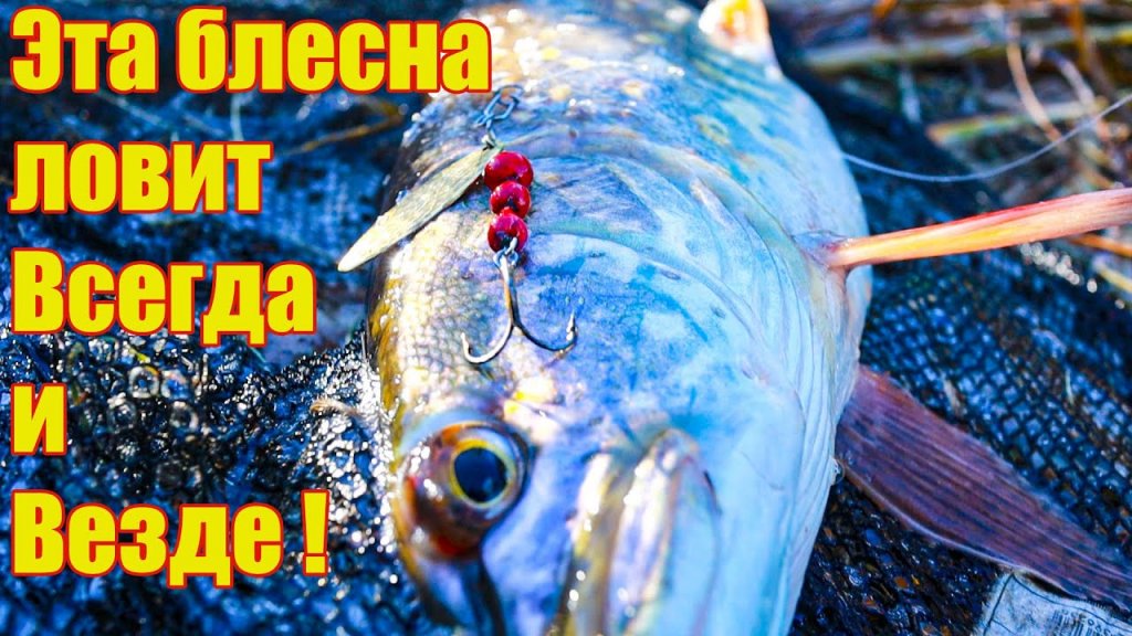 Журнал «Спортивное рыболовство» 2019 №11