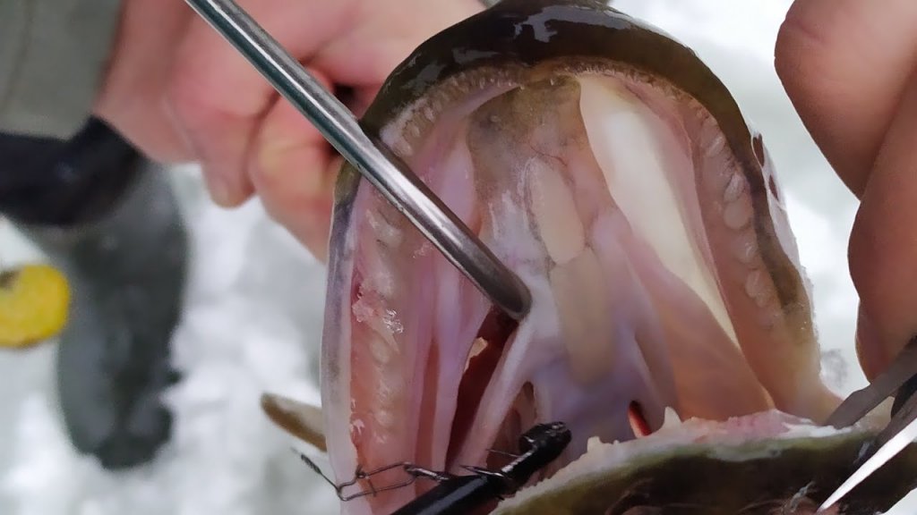 Первый лёд 2021. Рыбалка на жерлицы. Щука не даёт покоя.