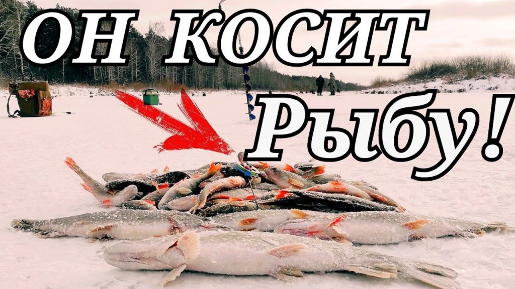 Первый лёд, щука и окунь прёт!!! Клюёт только на одну приманку! Зимняя рыбалка Первый лёд, щука и окунь прёт!!! Клюёт только на одну приманку! Зимняя рыбалка