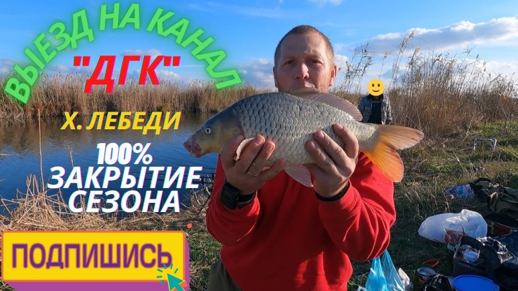 Жесть!!! Сазан клюет как с пулемета...100% закрытие сезона по мирной рыбе!!! На канале "дгк" лебеди