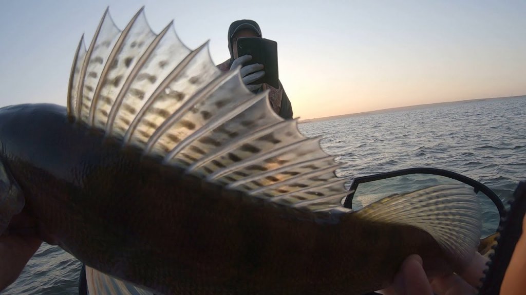 Спиннинговый батл! Жирный окунь триплетом | Джиг на Обском водохранилище | Рыбалка 2021